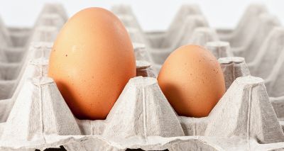 Avoid large eggs to protect hen welfare, consumers urged